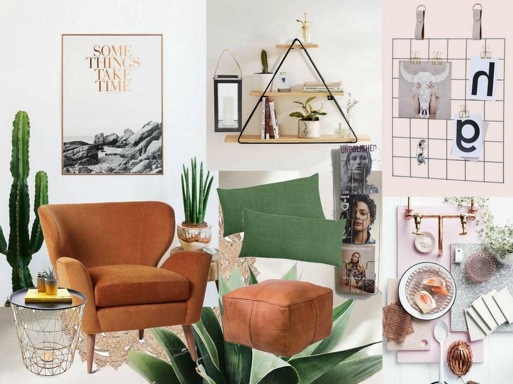 Interior Trend Plant