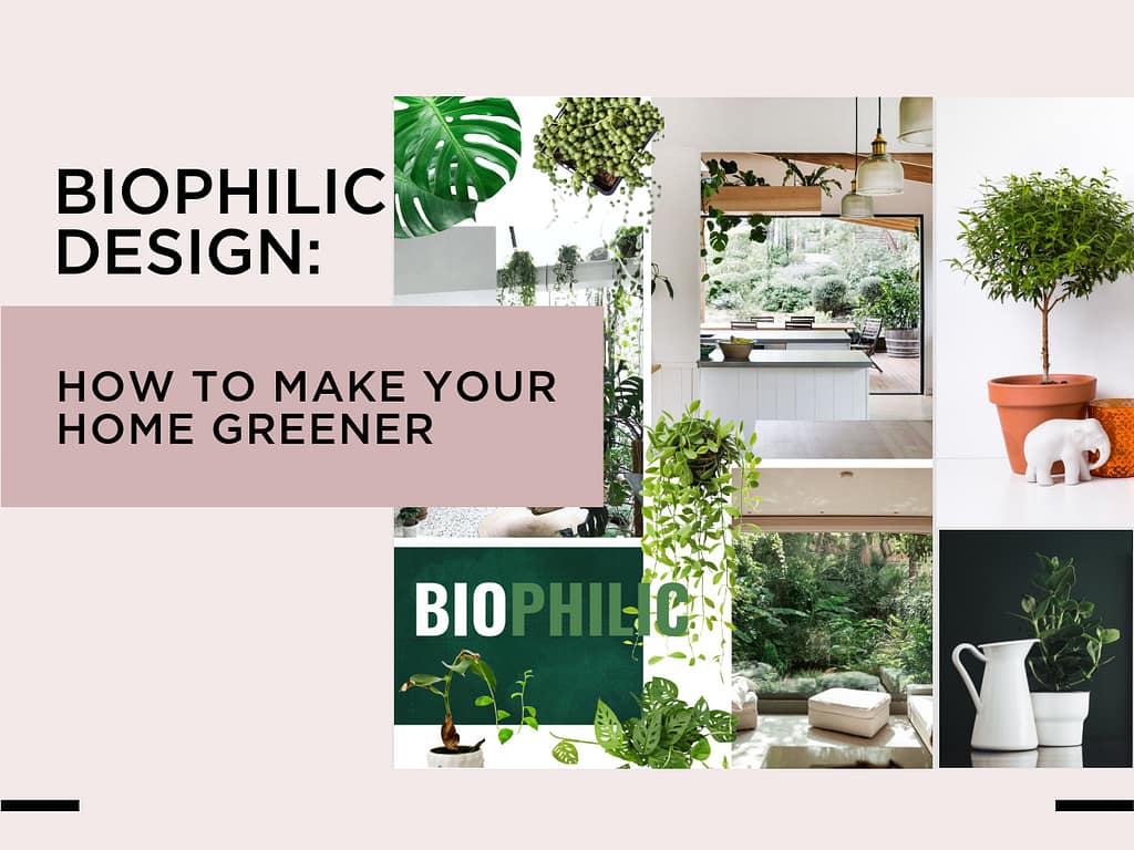 Home Decor Trends 2024