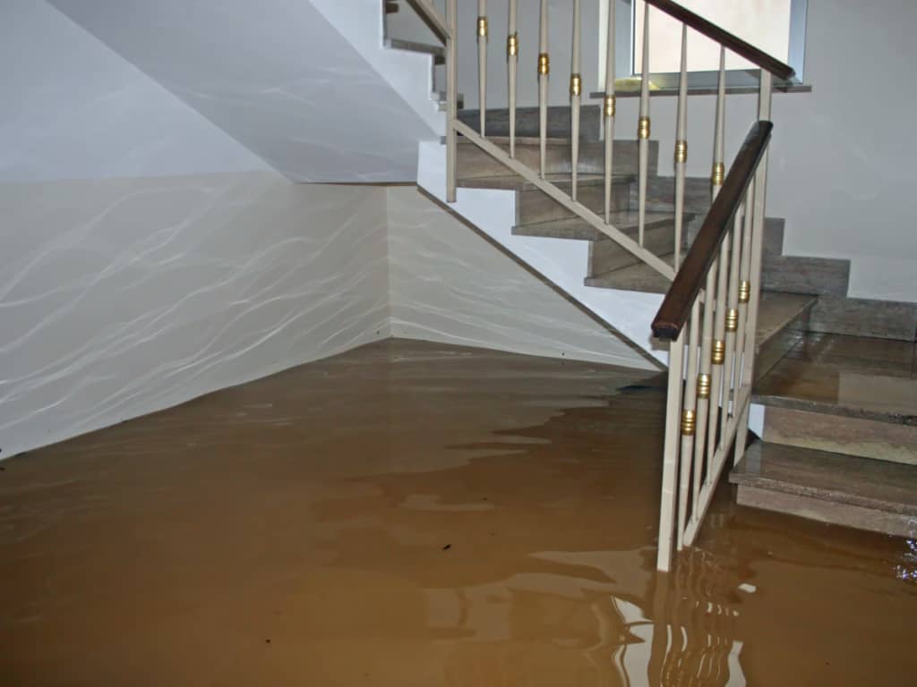 Sewer Pumps