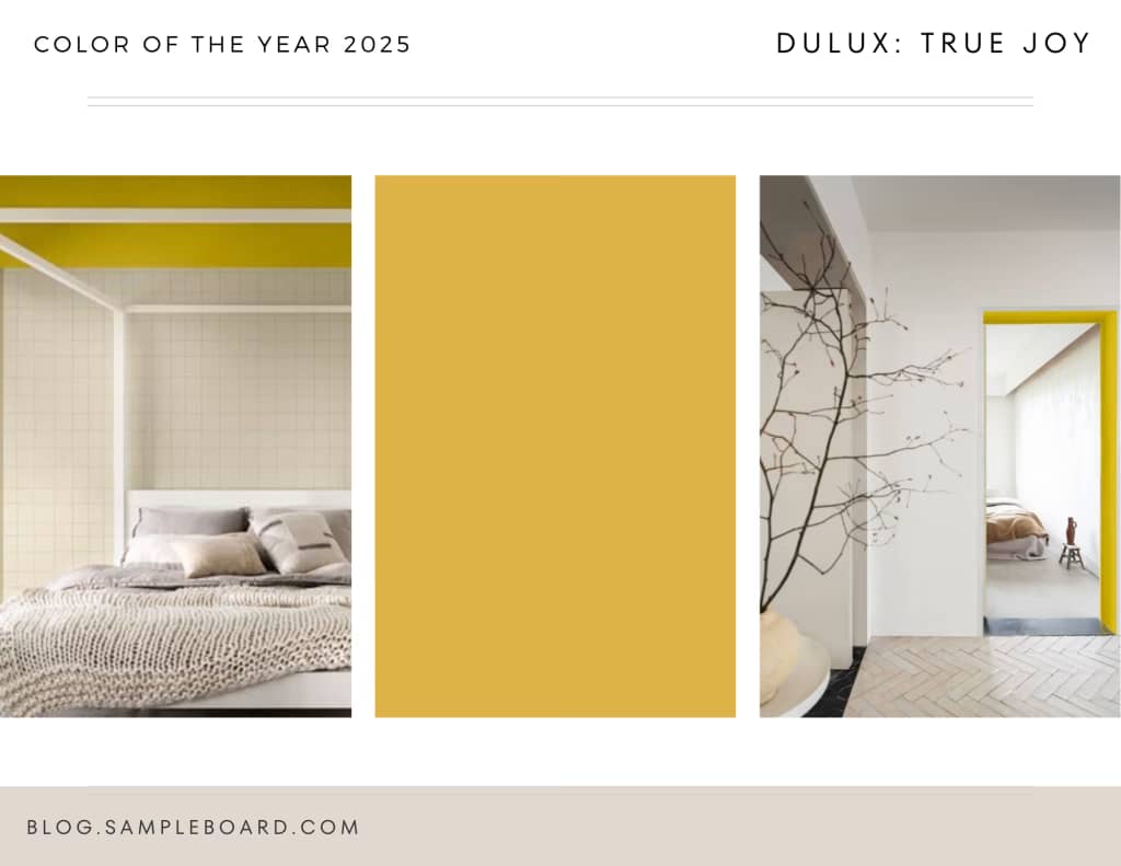Sampleboard Color of the Year 2025
