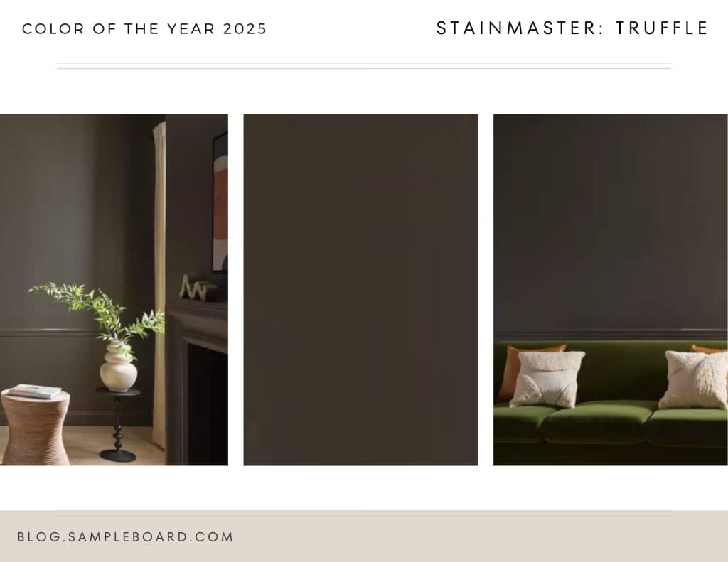 Sampleboard Color of the Year 2025