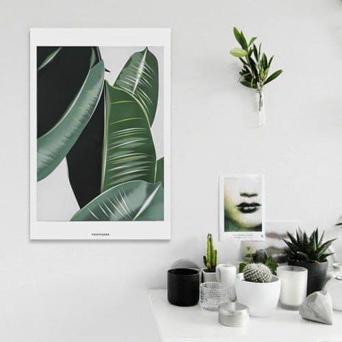 Vontrueba Veggie Collection Art   Sampleboard Blog