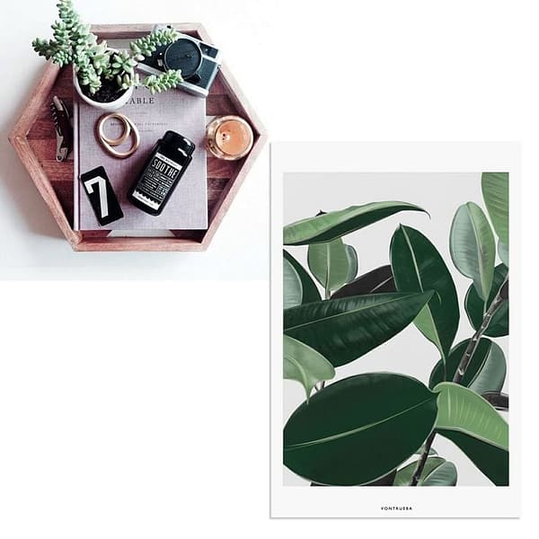 Vontrueba Veggie Collection Art   Sampleboard Blog