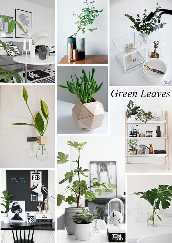 Trend Alert | Green Leaves in Vases Mood Board | Created on Wwwsampleboardcom