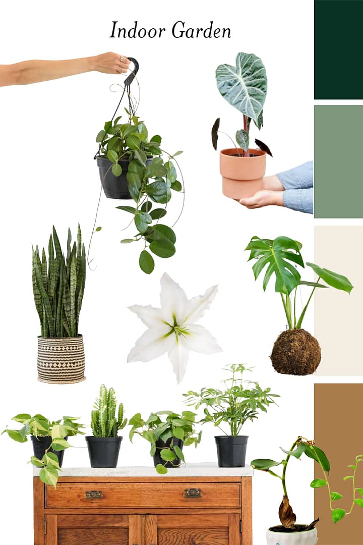 Indoor Garden Ideas