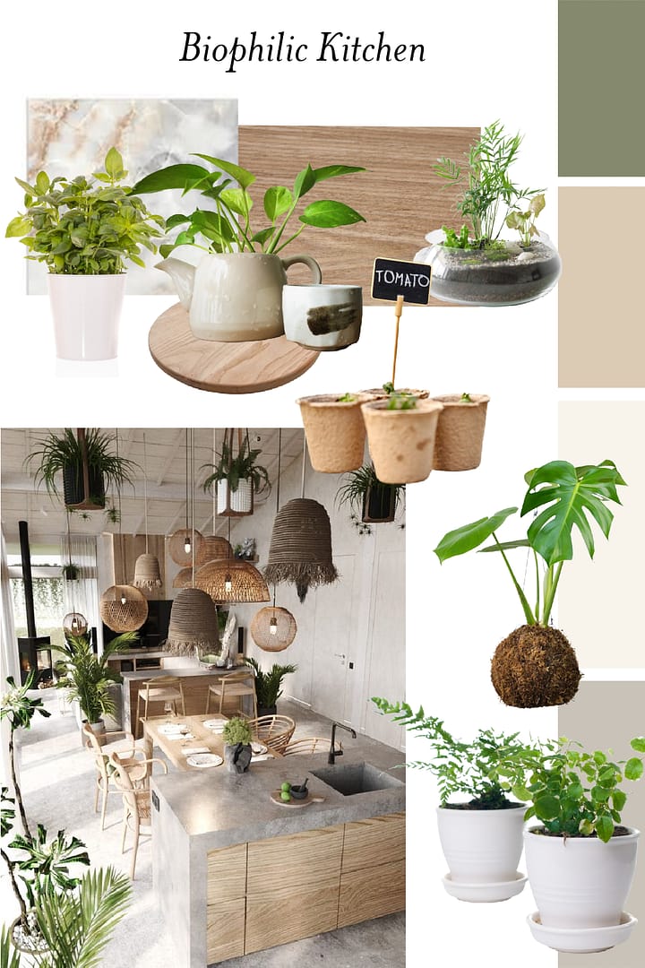 Biophilic Kitchen