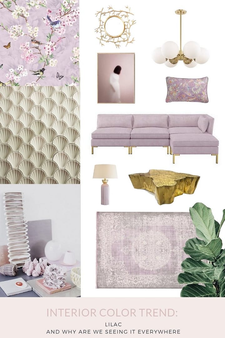 color lilac
