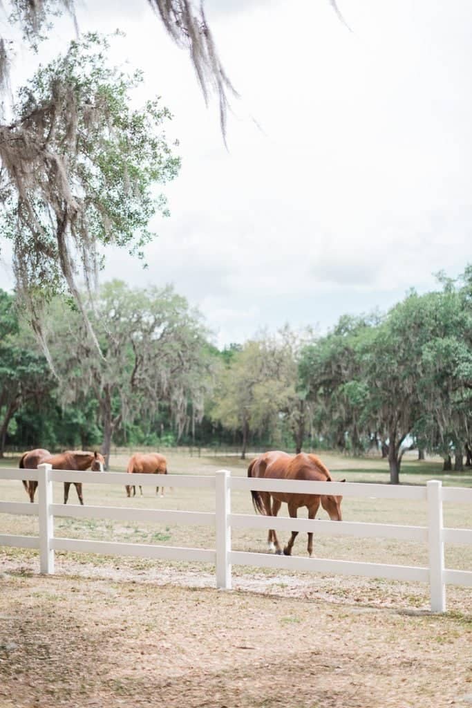 Rustic Farm Wedding