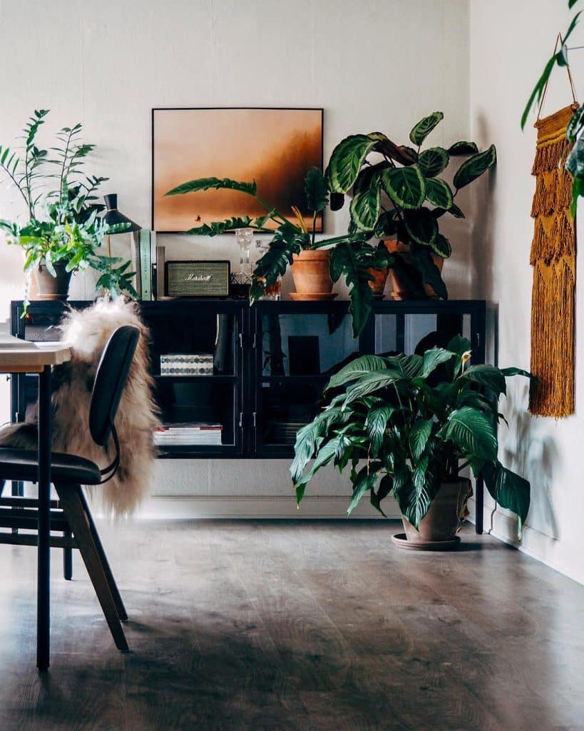 10 Boho Bungalow Instagram Accounts You Will Want to Follow