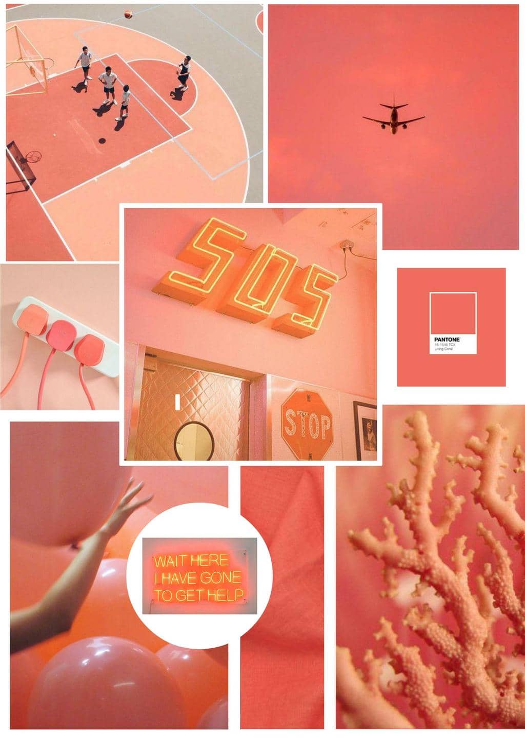 Living Coral - Pantone color of the year for 2019 comes with a Warning - SampleBoard