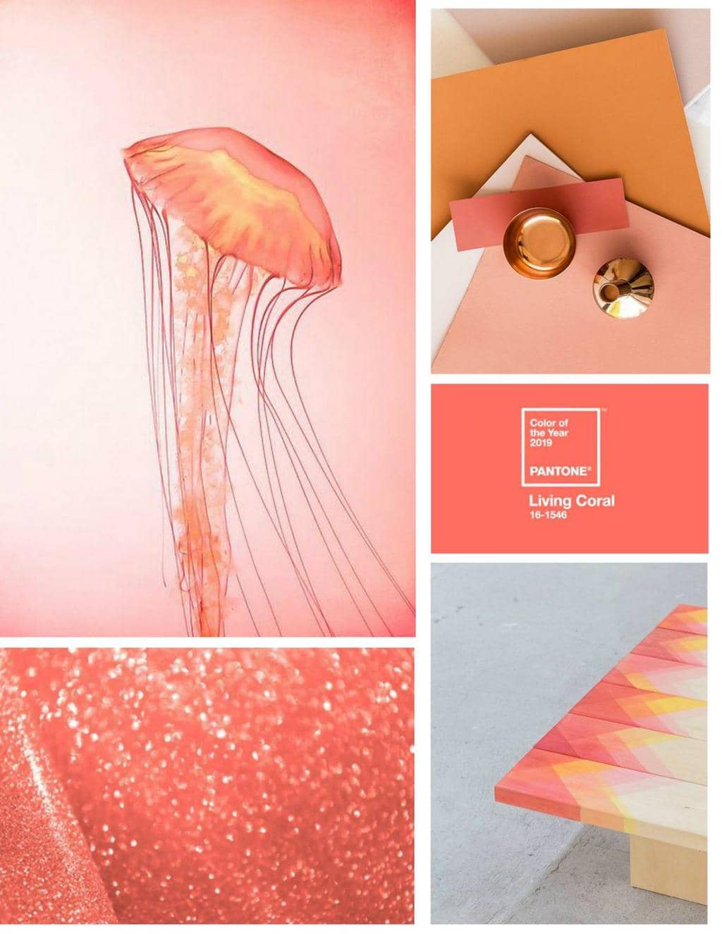 Living Coral - Pantone color of the year for 2019 comes with a Warning - SampleBoard