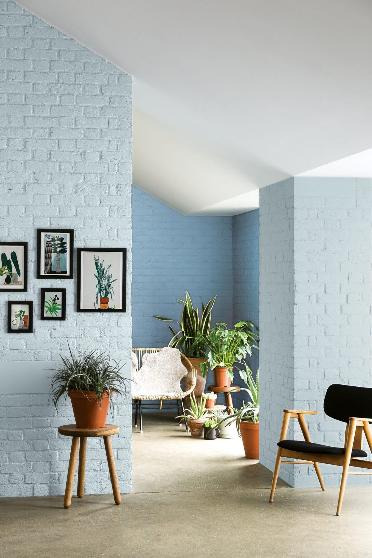interior color trends