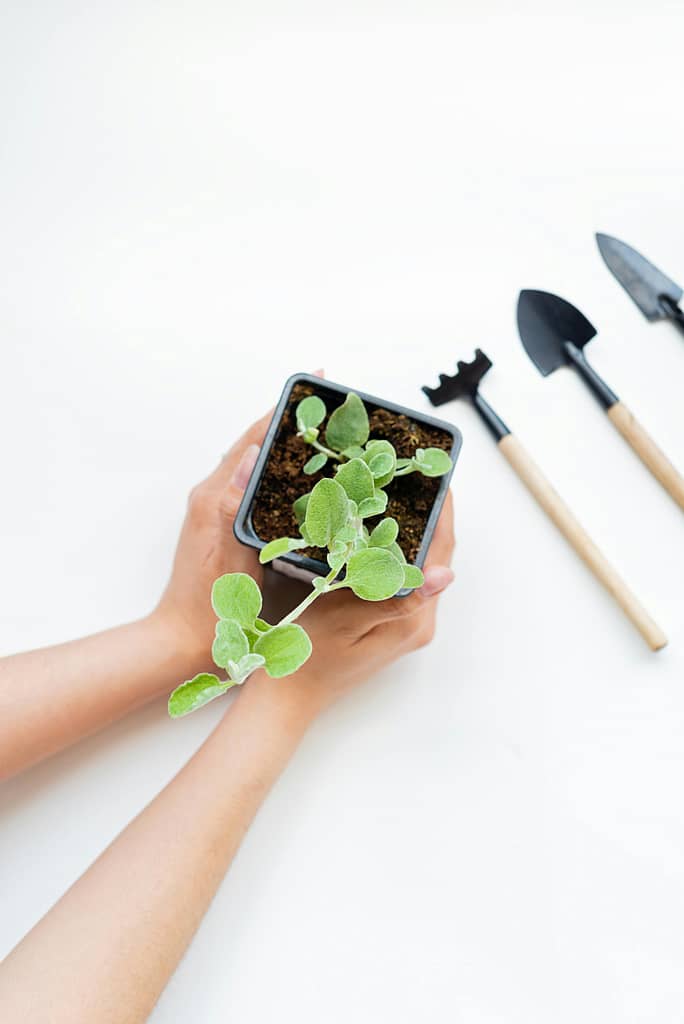 Garden Tools
