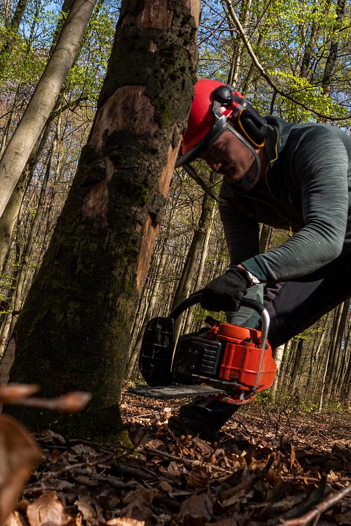 Chainsaw