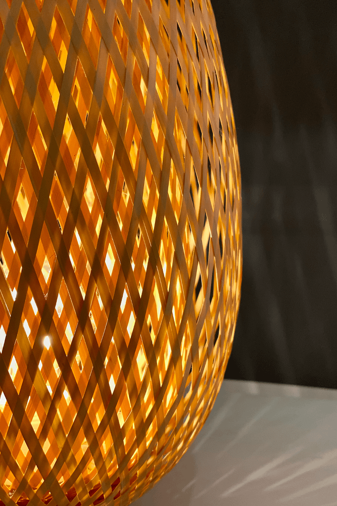 posttitle | sitetitle Eco lampshade