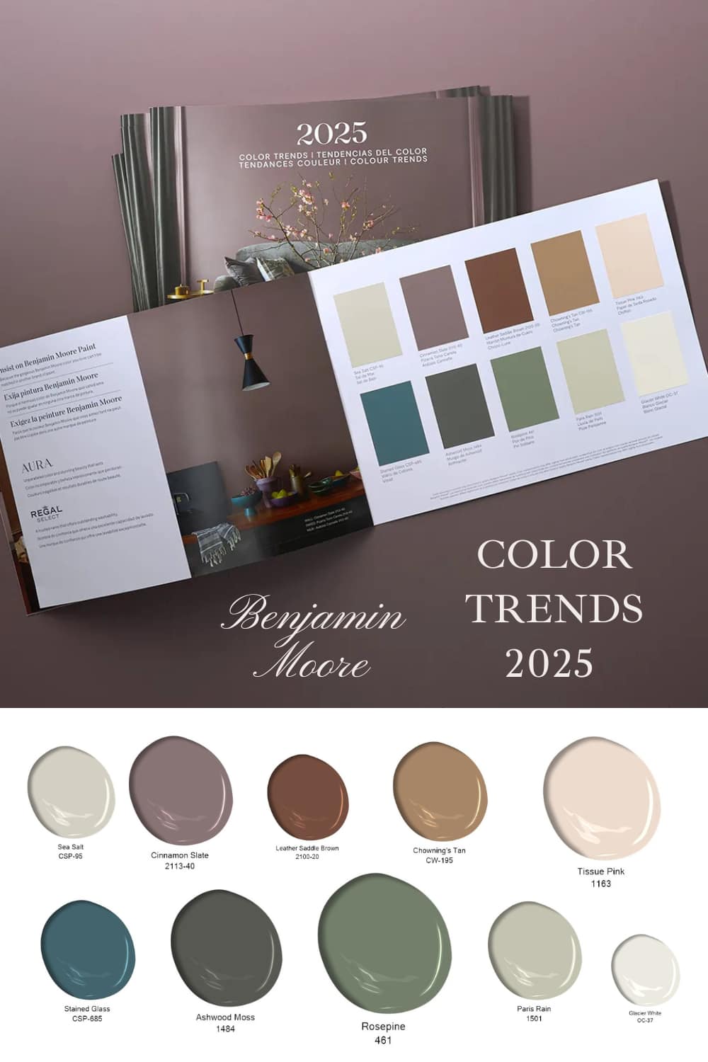Discover Cinnamon Slate Benjamin Moore's Versatile Neutral Hue