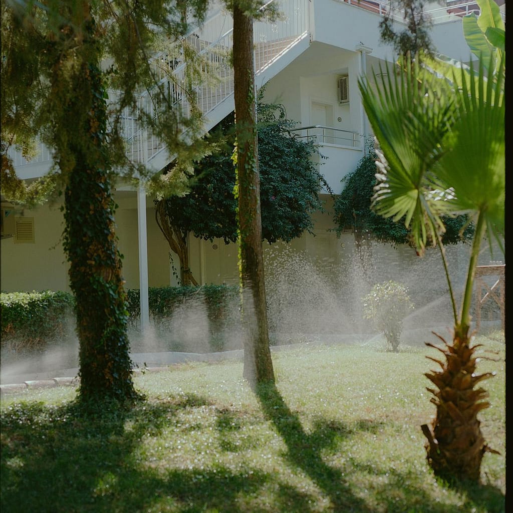 Synthetic Turf