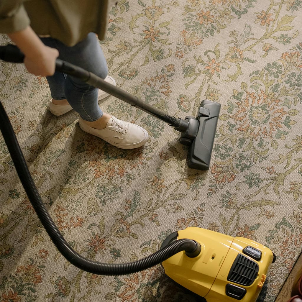 Vacuum Your Home