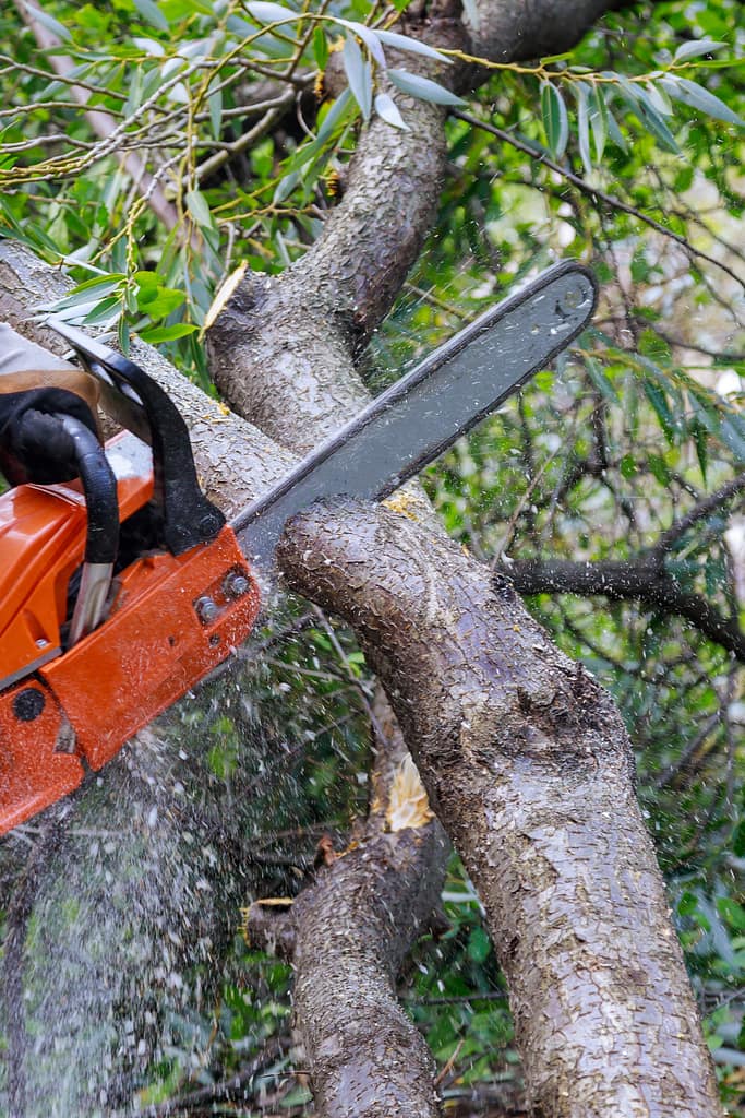 Chainsaw