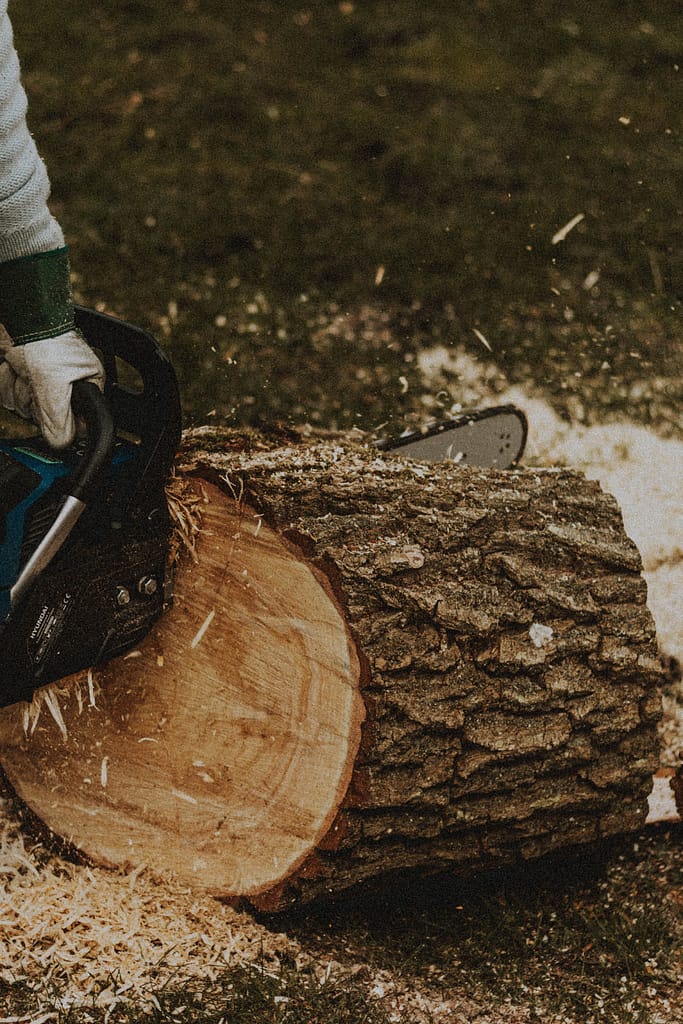 Chainsaw