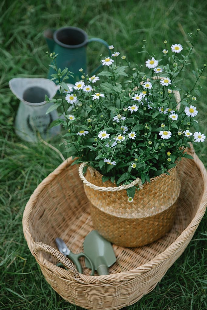 Garden Tools