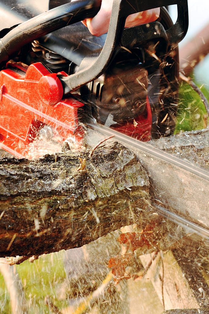 Chainsaw