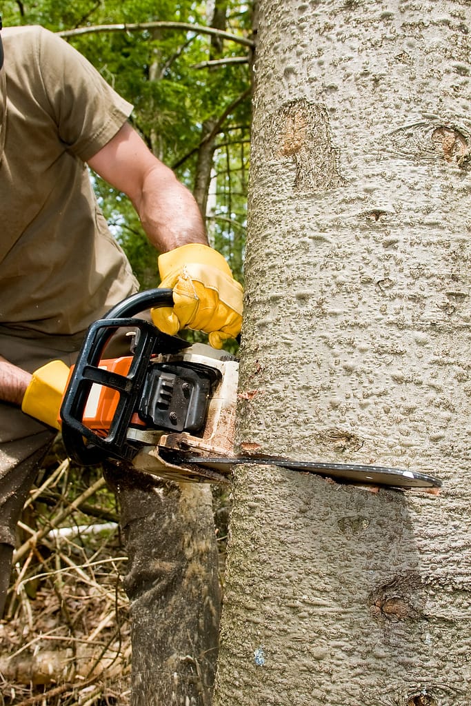 Chainsaw