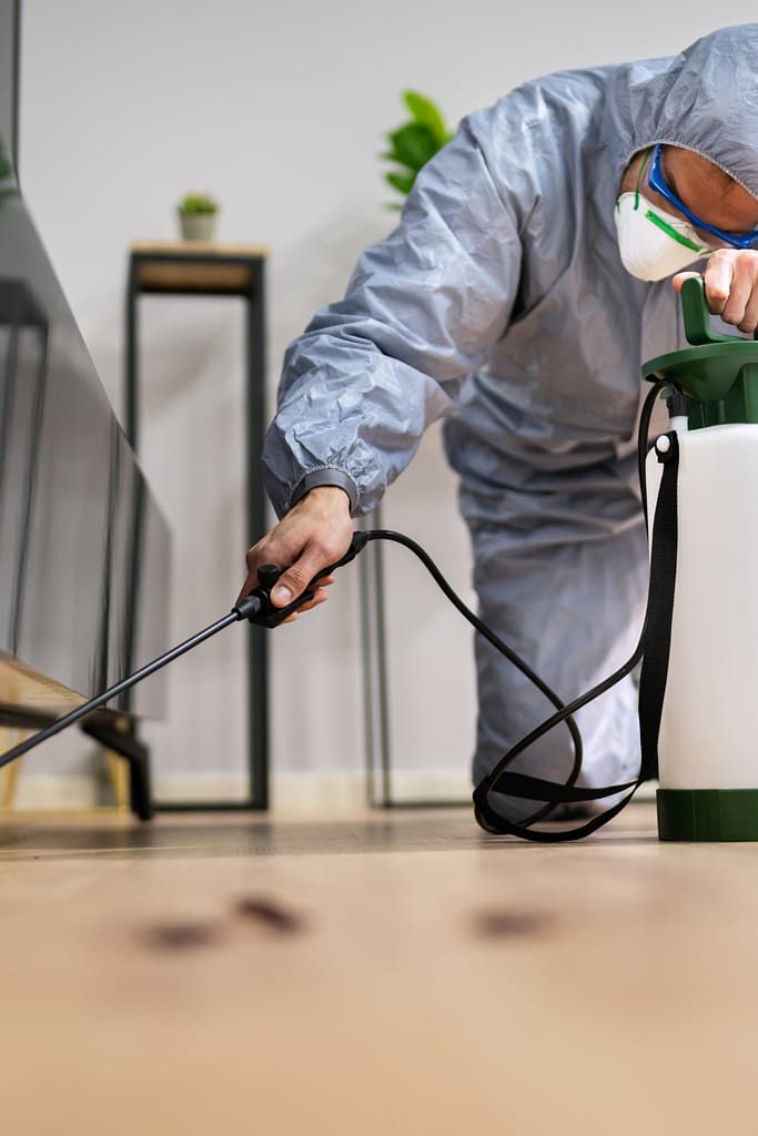 Home Repairs