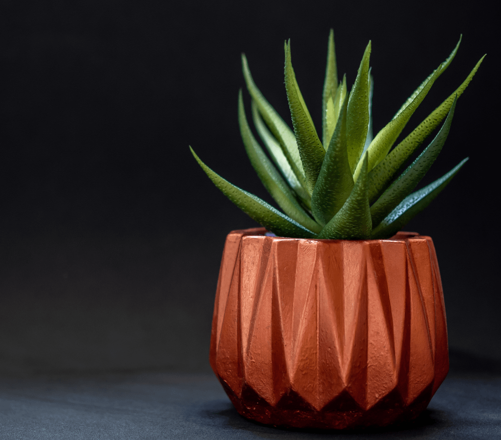 posttitle | sitetitle post title image name